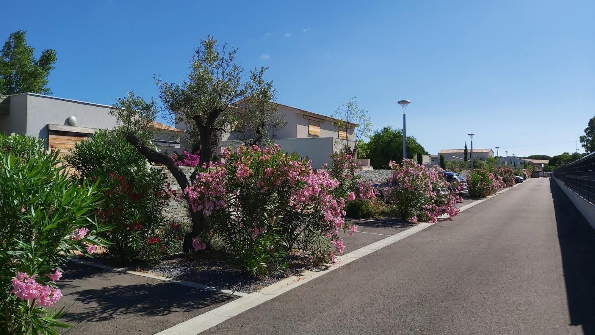 Villa Home Holiday A Cala Rossa Lecci Ngoại thất bức ảnh